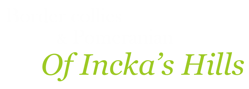 Of Incka's Hills